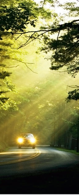 Automobile running on a road surrounded by forests