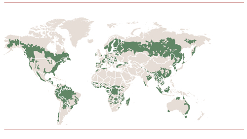 Cobertura de bosques en el mundo