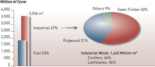 Global wood consumption