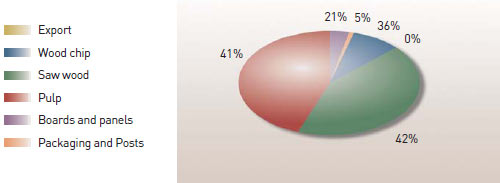 Chile: Main industrial uses of wood