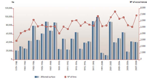 Annual Forest Fire Statistics