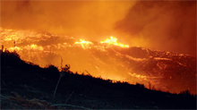 Night view of a forest fire