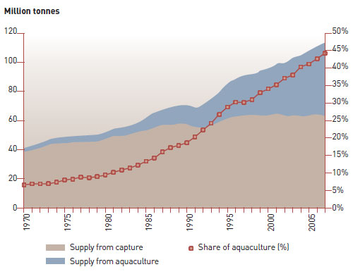 Table 1. Contribution of aquaculture to food-fish supply