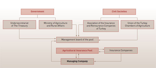 TARSIM organisation chart