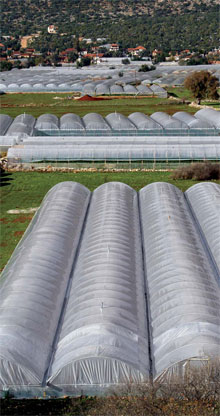 Greenhouses in the province of Antalya