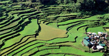 Rice terraces in the mountains of the Philippines